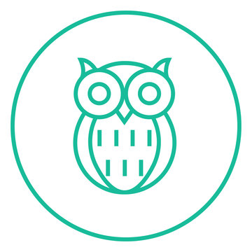 Owl line icon.
