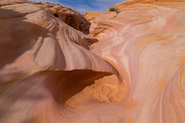 Pink Canyon in Valley of Fire