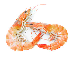 Shrimp on white background.