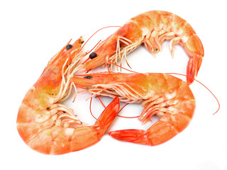 Shrimp on white background.