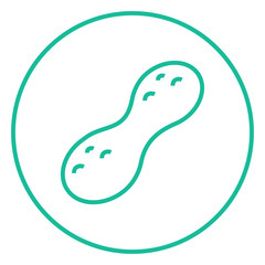 Peanut line icon.