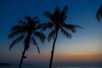 Fototapeta na wymiar palm trees on the background of a beautiful sunset
