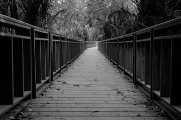 The wooden bridge in black and white