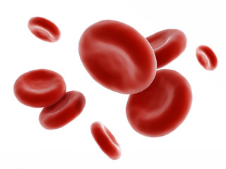 Red blood cell