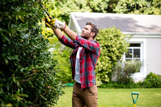 Man trimming plants at yard 