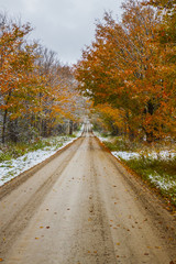 the view down a scenic country roadway in autumn landscape