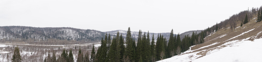 panorama of a winter landscape