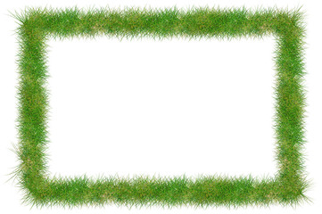 Fresh grass frame with copy-space for your text or photo.