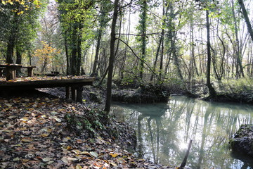 paesaggio