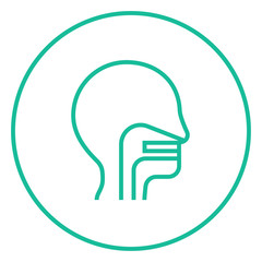 Human head with ear, nose, throat system line icon.