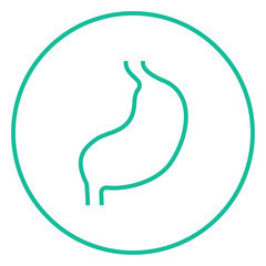 Obraz premium Stomach line icon.