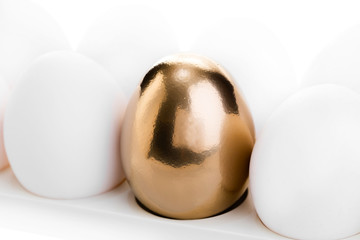 chicken white and golden eggs