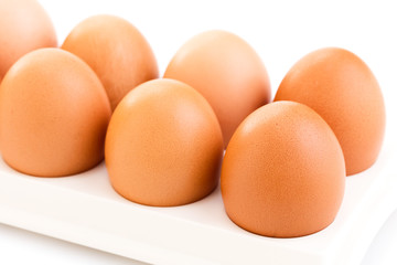 brown chicken eggs