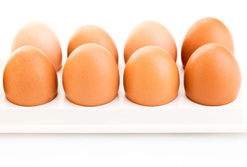 brown chicken eggs
