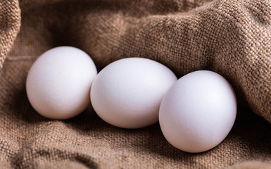 white chicken eggs closeup