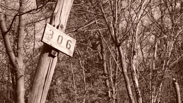 306 Holzschild Sepia 