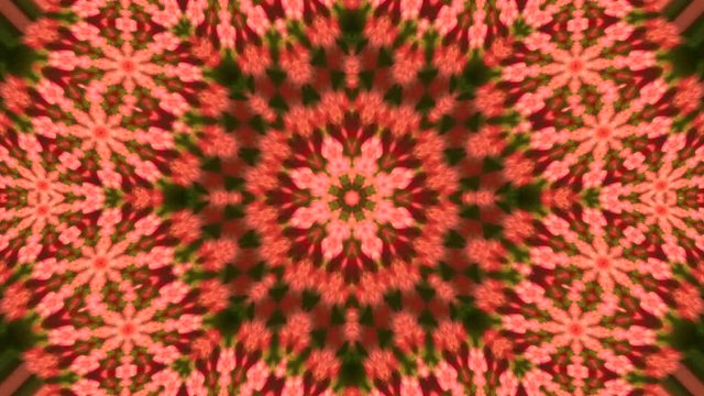 Amazing abstract kaleidoscopic multicolor pattern with eight ultra complex structure of soft scales. Excellent animated autumn floral background in stunning HD. Adorable visuals for wonderful intro.