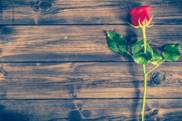 Fototapeta na wymiar Red rose on wooden background