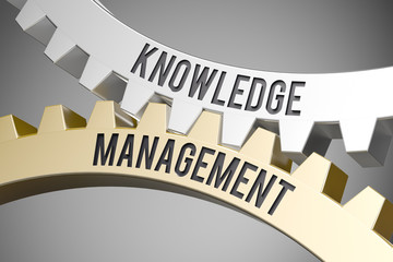 Cogwheel / Knowledge Management