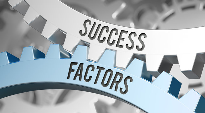 Cogwheel / Success Factors