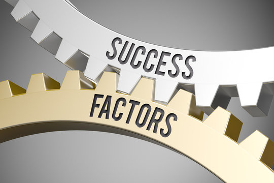 Cogwheel / Success Factors