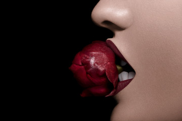 Beißen sexy eine Rose in roten Lippen auf schwarzem Hintergrund © DC Studio