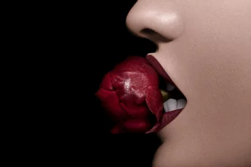Beißen sexy eine Rose in roten Lippen auf schwarzem Hintergrund © DC Studio