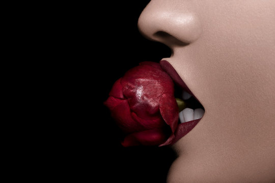Bitting Sexy A Rose In Red Lips On Black Bakcground
