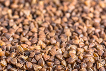 Raw grain of cereal - buckwheat macro