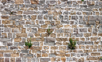 Naklejka na ściany i meble Antique natural stonewall
