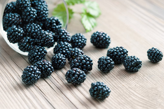 Blackberries in bowl on wooden background. Selective focus, high resolution product. Harvest Concept