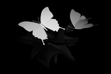 Foto auf Leinwand Twee vlinders dalen neer op bloem © emieldelange