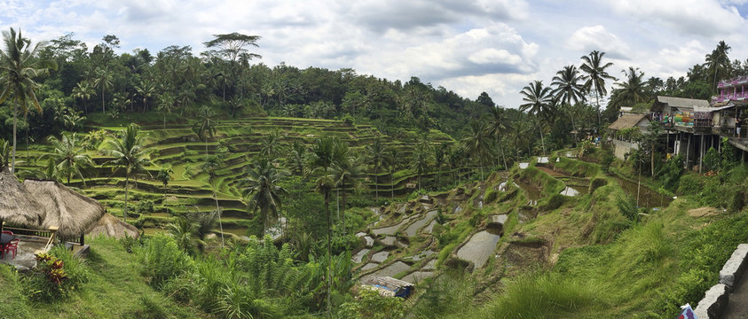 Rural rice terraces on hillside