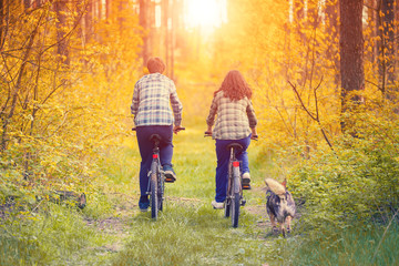 Fototapeta premium Young happy couple ride bicycles in the forest back to camera. Dog running nearby