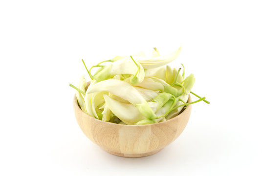 Agasta flowers in wooden bowl white background 
