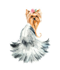 Dog with a rose. Yorkshire terrier. Pink flower and hair dress. Ridiculous puppy background, watercolor composition. Watercolor hand drawn illustration
