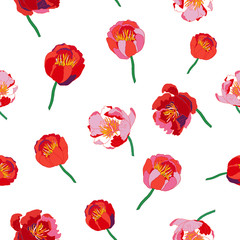 Seamless floral  background. Isolated red flowers on white background. Vector illustration.