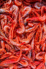 Red shrimps on a market