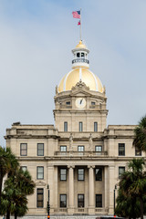 Savannah City Hall Between Trees