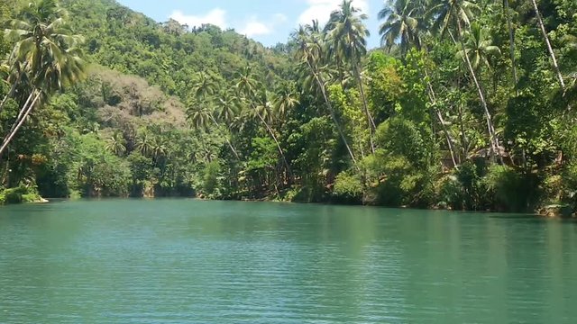 River in the jungle. Philippines.