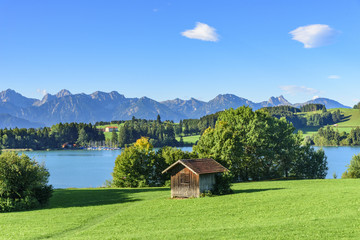 Fototapeta na wymiar pittoreske Landschaft im Ostallgäu