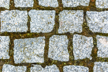Stone pavement background texture - cobblestone texture close-up