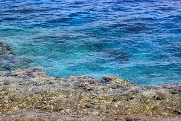 Fototapeta na wymiar clear turquoise sea water and coral reef for background
