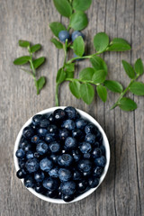 Fresh blueberries in bowl, top view