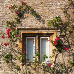 Fototapeta na wymiar rose-clad cottage window