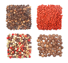 Set of four different spices square shape on white