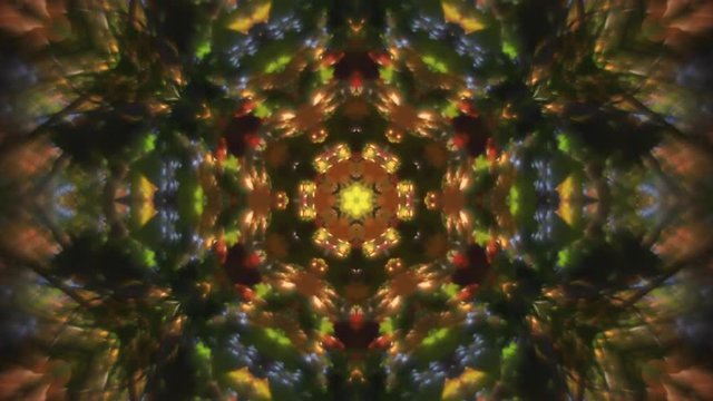 Abstract kaleidoscopic multicolor pattern with six complex structure. Excellent animated autumn floral background in stunning full HD clip. Adorable waving visuals for amazing decorative intro.
