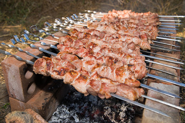 Meat is fried on charcoal on a picnic