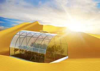 One round greenhouse in desert