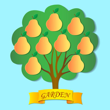 Pear Tree Garden